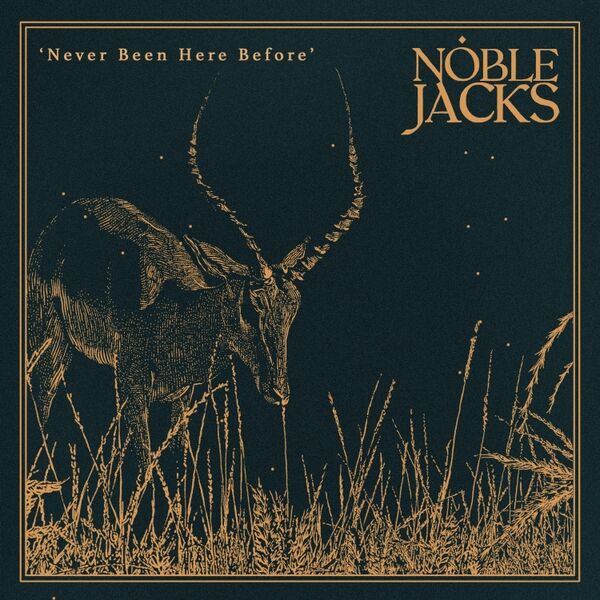 Cover art for Never Been Here Before